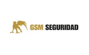 GSM Seguridad